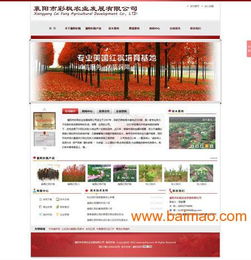 襄陽專業網站建設就找優網科技,襄陽專業網站建設就找優網科技生產廠家,襄陽專業網站建設就找優網科技價格