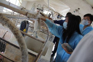 河南科技大學(xué)動物科技學(xué)院科技支農(nóng)幫扶團(tuán) 為中國中原地區(qū)畜牧行業(yè)發(fā)展添磚加瓦